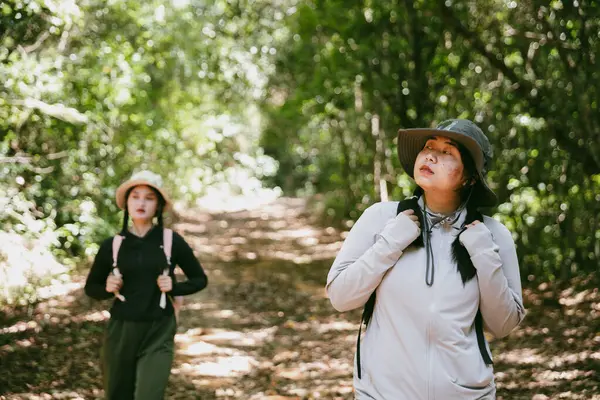 Sırt çantalı iki bayan arkadaş birlikte kırda yürüyüş yapıyorlar. Asyalı arkadaş kız sırt çantalı arkadaş ormanda birlikte seyahat eder. Yürüyüş yaparken mutlu ve güneşli bir gün..
