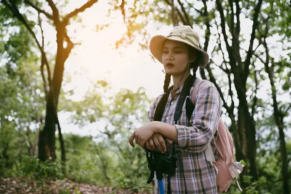 Sırt çantalı genç bir gezgin ulusal parkta ya da ormanda yürüyor. Doğada eğlence sporu. Kadın çantası, ormanda yürüyüş için el sallıyor. Ormanda macera. Sırt çantasıyla yürüyüş