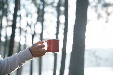 Kafe, kahveyi doğayla uyum içinde yetiştirmeye organik tohum sıcak fincan kafein ve arka plan yeşili açık havaya odaklanıyor. aromatik içecek, bardaktan yükselen zengin aroma.