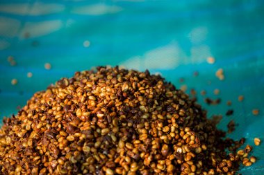 Akıllı çiftçilik teknikleri, kızartma makineleri kahve, güneş ışığı, güneş ışığı, güneş ışığı, tarım, çiftçi kavramını destekliyor.