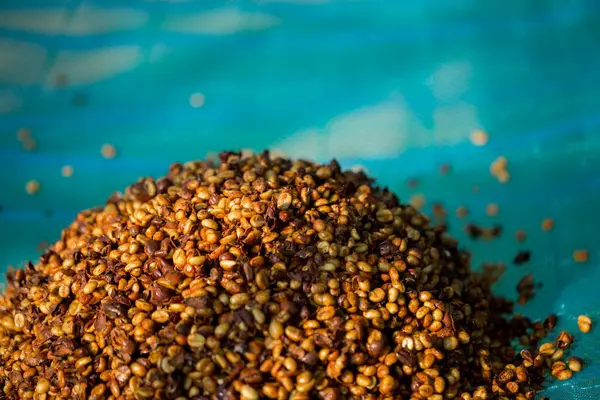 Akıllı çiftçilik teknikleri, kızartma makineleri kahve, güneş ışığı, güneş ışığı, güneş ışığı, tarım, çiftçi kavramını destekliyor.