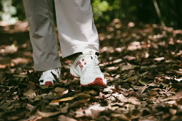 Dağ çim patikasında yürüyüş. Kadın yürüyüşçü ayakkabısını kapat. Yürüyüşçülerin ve sırt çantalarının maceraperest yaşam tarzı seyahat ve dağ yürüyüşleri, her yürüyüşün ve heyecanlı yolculuğun her bölümünün tadını çıkar.