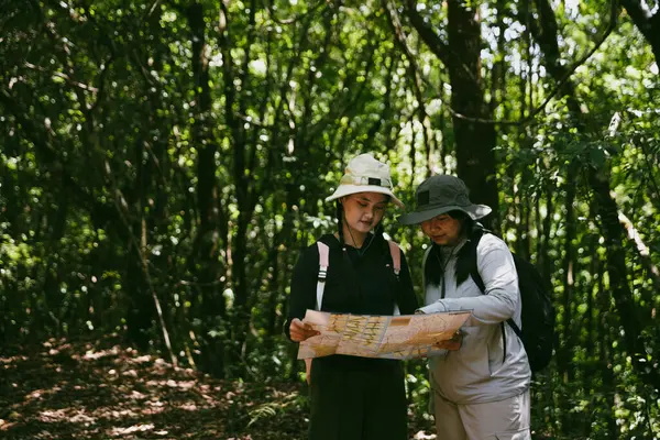 Sırt çantalı iki bayan arkadaş birlikte kırda yürüyüş yapıyorlar. Asyalı arkadaş kız sırt çantalı arkadaş ormanda birlikte seyahat eder. Yürüyüş yaparken mutlu ve güneşli bir gün..