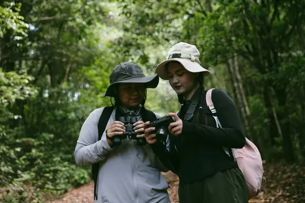 Sırt çantalı iki bayan arkadaş birlikte kırda yürüyüş yapıyorlar. Asyalı arkadaş kız sırt çantalı arkadaş ormanda birlikte seyahat eder. Yürüyüş yaparken mutlu ve güneşli bir gün..