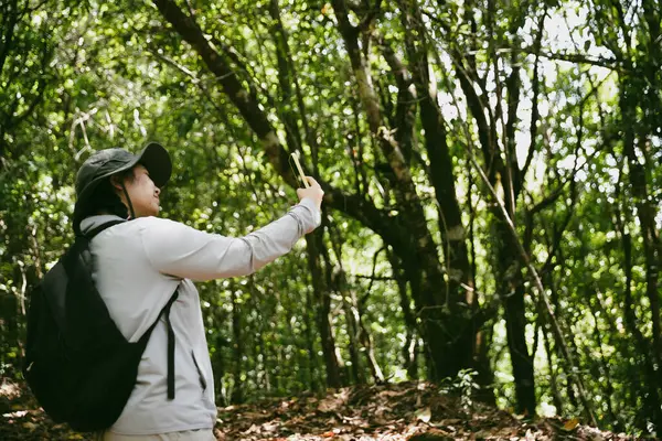 Sırt çantalı genç bir gezgin ulusal parkta ya da ormanda yürüyor. Doğada eğlence sporu. Kadın çantası, ormanda yürüyüş için el sallıyor. Ormanda macera. Sırt çantasıyla yürüyüş