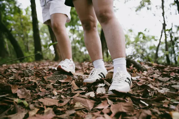 Dağ çim patikasında yürüyüş. Kadın yürüyüşçü ayakkabısını kapat. Yürüyüşçülerin ve sırt çantalarının maceraperest yaşam tarzı seyahat ve dağ yürüyüşleri, her yürüyüşün ve heyecanlı yolculuğun her bölümünün tadını çıkar.