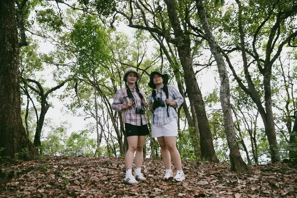 Sırt çantalı iki bayan arkadaş birlikte kırda yürüyüş yapıyorlar. Asyalı arkadaş kız sırt çantalı arkadaş ormanda birlikte seyahat eder. Yürüyüş yaparken mutlu ve güneşli bir gün..