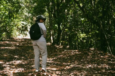 Sırt çantalı genç bir gezgin ulusal parkta ya da ormanda yürüyor. Doğada eğlence sporu. Kadın çantası, ormanda yürüyüş için el sallıyor. Ormanda macera. Sırt çantasıyla yürüyüş