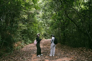 Sırt çantalı iki bayan arkadaş birlikte kırda yürüyüş yapıyorlar. Asyalı arkadaş kız sırt çantalı arkadaş ormanda birlikte seyahat eder. Yürüyüş yaparken mutlu ve güneşli bir gün..