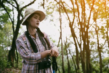 Sırt çantalı genç bir gezgin ulusal parkta ya da ormanda yürüyor. Doğada eğlence sporu. Kadın çantası, ormanda yürüyüş için el sallıyor. Ormanda macera. Sırt çantasıyla yürüyüş