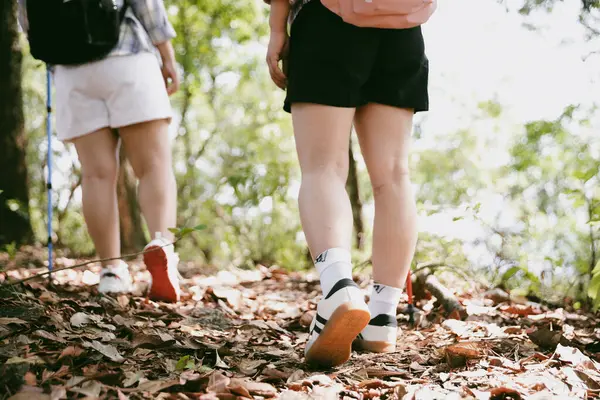 Dağ çim patikasında yürüyüş. Kadın yürüyüşçü ayakkabısını kapat. Yürüyüşçülerin ve sırt çantalarının maceraperest yaşam tarzı seyahat ve dağ yürüyüşleri, her yürüyüşün ve heyecanlı yolculuğun her bölümünün tadını çıkar.