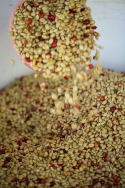 Akıllı çiftçilik teknikleri, kızartma makineleri kahve, güneş ışığı, güneş ışığı, güneş ışığı, tarım, çiftçi kavramını destekliyor.