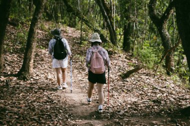 Sırt çantalı iki bayan arkadaş birlikte kırda yürüyüş yapıyorlar. Asyalı arkadaş kız sırt çantalı arkadaş ormanda birlikte seyahat eder. Yürüyüş yaparken mutlu ve güneşli bir gün..