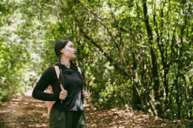 Sırt çantalı genç bir gezgin ulusal parkta ya da ormanda yürüyor. Doğada eğlence sporu. Kadın çantası, ormanda yürüyüş için el sallıyor. Ormanda macera. Sırt çantasıyla yürüyüş