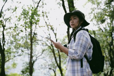 Sırt çantalı genç bir gezgin ulusal parkta ya da ormanda yürüyor. Doğada eğlence sporu. Kadın çantası, ormanda yürüyüş için el sallıyor. Ormanda macera. Sırt çantasıyla yürüyüş