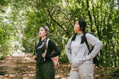 Sırt çantalı iki bayan arkadaş birlikte kırda yürüyüş yapıyorlar. Asyalı arkadaş kız sırt çantalı arkadaş ormanda birlikte seyahat eder. Yürüyüş yaparken mutlu ve güneşli bir gün..