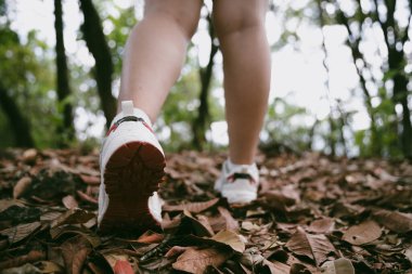 Dağ çim patikasında yürüyüş. Kadın yürüyüşçü ayakkabısını kapat. Yürüyüşçülerin ve sırt çantalarının maceraperest yaşam tarzı seyahat ve dağ yürüyüşleri, her yürüyüşün ve heyecanlı yolculuğun her bölümünün tadını çıkar.
