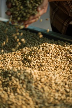 Akıllı çiftçi tekniklerini kapatın kahve makineleri kızartma aletleri kuru güneş ışınları güneş ışığı güneş ışığı taze bahçe tarımı çiftçi kavramı çiftliği arka planını bulanıklaştırıyor