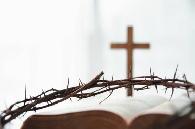 Dikenli taç ve Hıristiyanlığın güçlü sembolleri, İncil 'de İsa' nın kutsal kurban edilişini temsil ediyor ve Hristiyan dininin kalıcı hatırlatıcıları olarak hizmet ediyor..