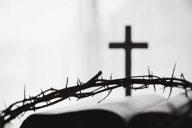 Dikenli taç ve Hıristiyanlığın güçlü sembolleri, İncil 'de İsa' nın kutsal kurban edilişini temsil ediyor ve Hristiyan dininin kalıcı hatırlatıcıları olarak hizmet ediyor..