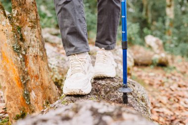 Ormanda ağaç gövdesinde yürüyen yürüyüşçüye yakın çekim, macera sembolü, keşif, denge, doğa yaşam tarzı, yürüyüş, meydan okuma ve yürüyüş botlarıyla doğa içinde yolculuk. yürüyüş macerası