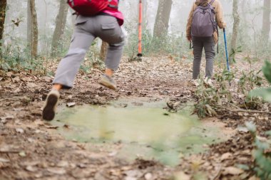 Sırt çantaları ve yürüyüş direkleriyle orman yolunda yürüyen ve zıplayan yürüyüşçüler, macera sembolü, takım çalışması, açık hava yaşam tarzı, seyahat yolculuğu, enerji, meydan okuma ve doğa keşifleri.
