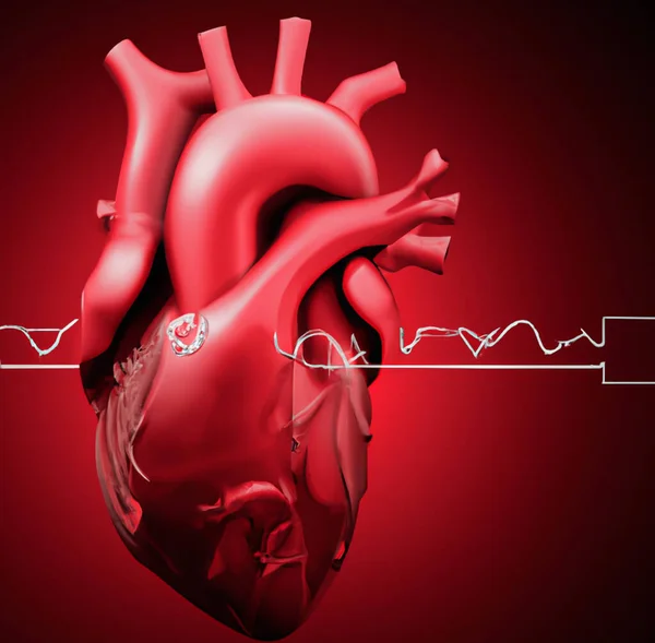 Human heart. 3d illustration. Isolated, contains clipping path