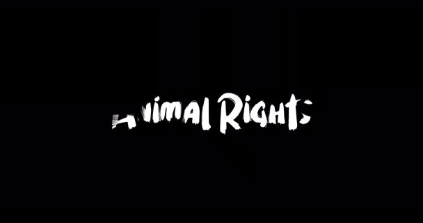 Droits Des Animaux Effet Transition Grunge Typographie Texte Animation Sur — Video