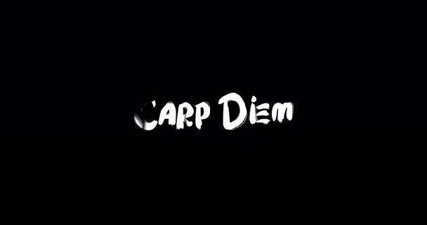 Karper Diem Effect Van Grunge Transitie Typografie Tekst Animatie Zwarte — Stockvideo