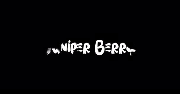 Τζούνιπερ Μπέρι Grunge Transition Effect Typography Κείμενο Animation Μαύρο Φόντο — Αρχείο Βίντεο