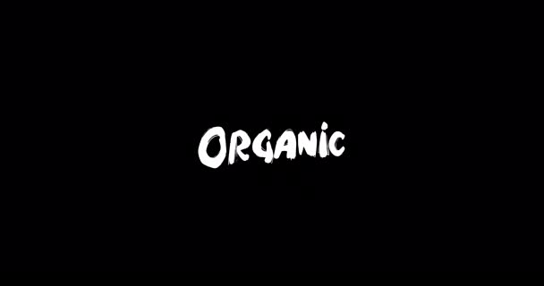 Organiczny Wpływ Grunge Transition Typografia Tekst Animacja Czarnym Tle — Wideo stockowe
