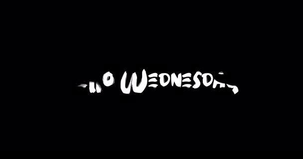 Hallo Woensdag Effect Van Grunge Transitie Typografie Tekst Animatie Zwarte — Stockvideo