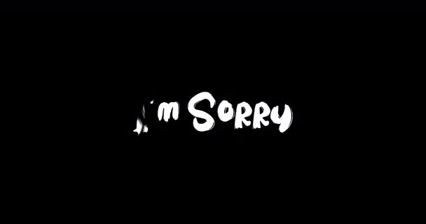 Sorry Effect Van Grunge Transitie Typografie Tekst Animatie Zwarte Achtergrond — Stockvideo