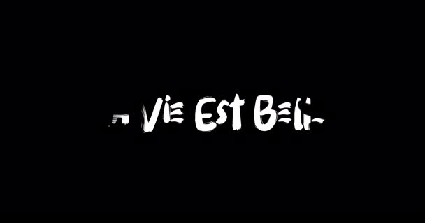 Vie Est Belle Effet Grunge Transition Typographie Texte Animation Sur — Video