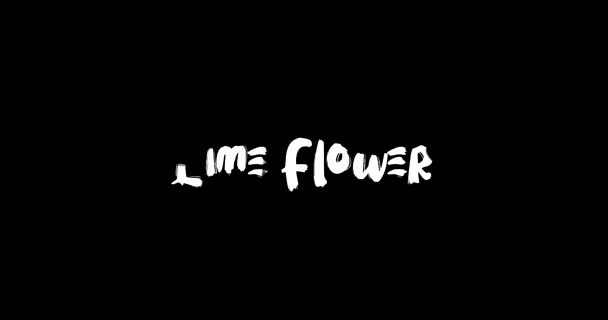 Λάιμ Φλάουερ Επίδραση Της Grunge Μετάβασης Τυπογραφία Κείμενο Animation Μαύρο — Αρχείο Βίντεο