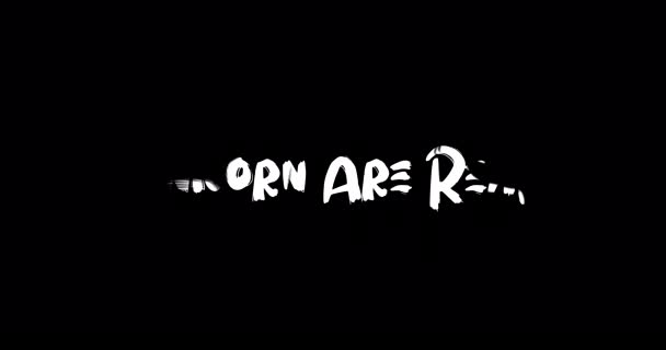 Unicorn Real Effect Grunge Transition Typographie Texte Animation Sur Fond — Video