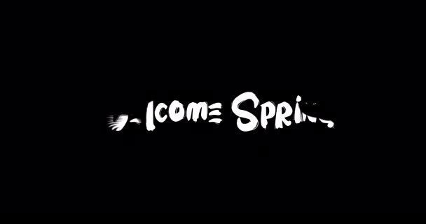 Grunge变换字体动画在黑色背景下的欢迎春天效应 — 图库视频影像