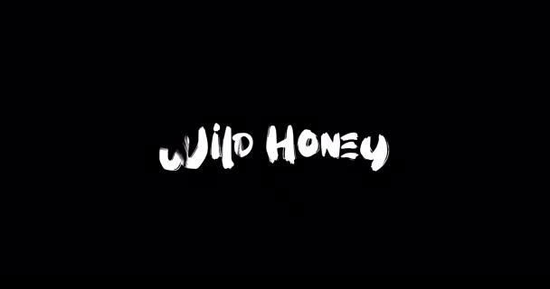 Wild Honey Effect Van Grunge Transitie Typografie Tekst Animatie Zwarte — Stockvideo