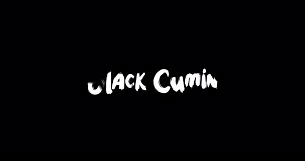 Black Cumin Effekt Grunge Transition Typografi Tekst Animation Sort Baggrund – Stock-video