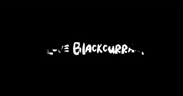 Encanta Efecto Transición Grunge Grosella Negra Tipografía Animación Texto Sobre — Vídeos de Stock