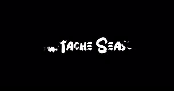 Efek Transisi Tipografi Mustache Season Grunge Teks Animasi Latar Belakang — Stok Video
