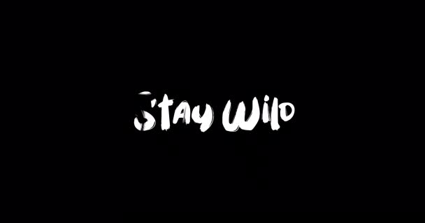 Stay Wild Grunge Efecto Transición Tipografía Animación Texto Sobre Fondo — Vídeos de Stock