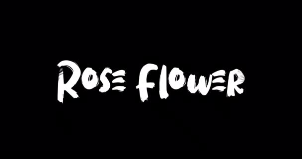 玫瑰花 爱情引言 文本地形图动画对黑人背景的转换效应 — 图库视频影像