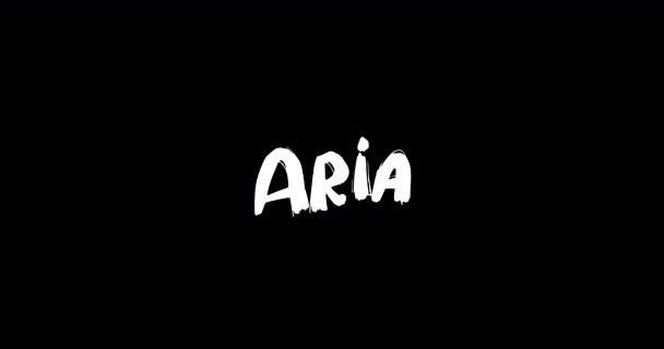 动画粗体文字字体在黑色背景下消解转换效果中的Aria妇女名 — 图库视频影像