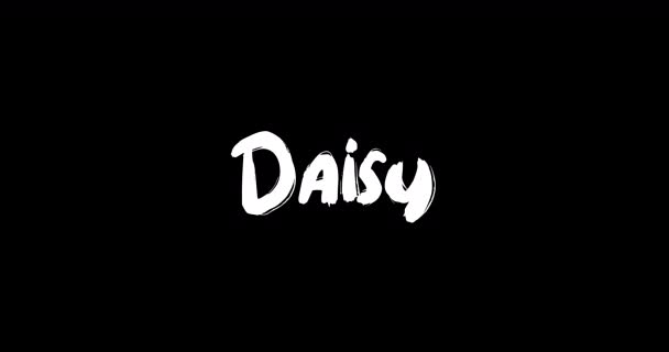 Daisy Women Nome Grunge Sciogliere Effetto Transizione Della Tipografia Testo — Video Stock
