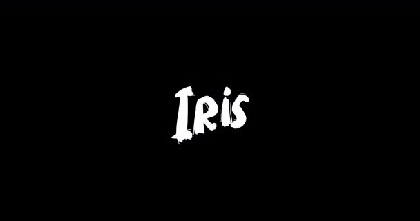 Iris Kvinnligt Namn Digital Grunge Övergång Effekt Fet Text Typografi — Stockvideo