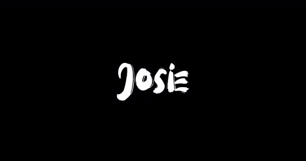Imię Nazwisko Josie Cyfrowym Grunge Transition Effect Bold Text Typography — Wideo stockowe