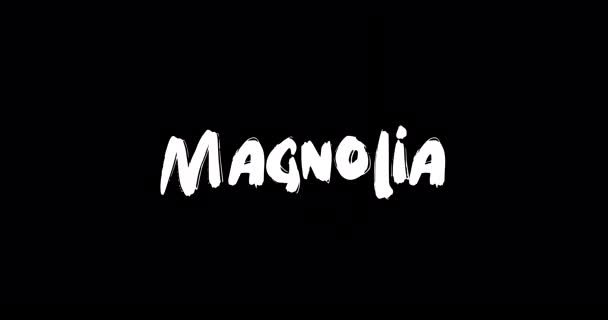 Magnolia Nombre Femenino Grunge Digital Efecto Transición Tipografía Texto Negrita — Vídeos de Stock