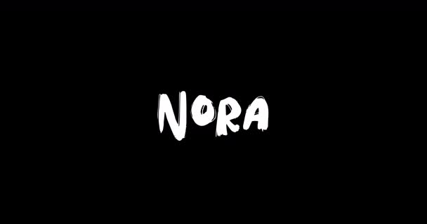 Nora Neve Digitális Grunge Transition Effect Bold Text Typography Animation — Stock videók