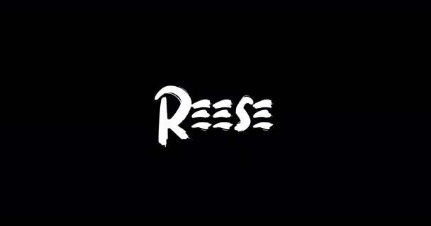 Reese Female Name Digital Grunge Transition Effect Bold Text Typography — Stock video
